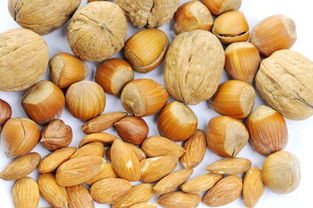 水果干果小食品营业执照经营范围登记指南